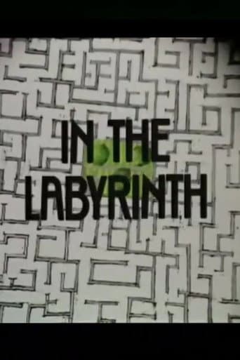 Poster for In the Labyrinth