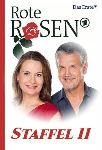 Poster for Season 11
