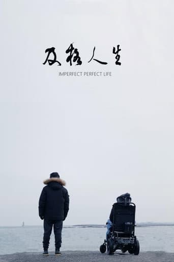 Poster for Imperfect Perfect Life