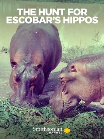 Poster for The Hunt for Escobar's Hippos