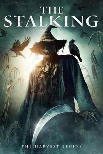Poster for The Stalking