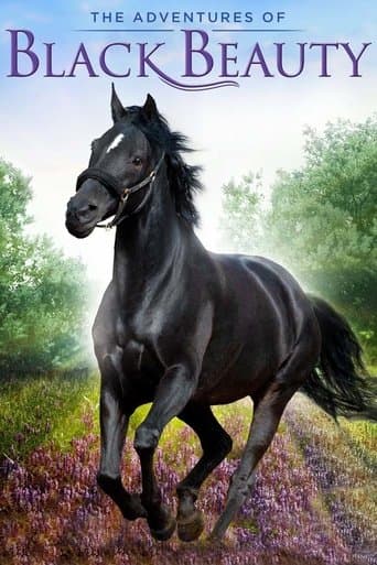 Poster for The Adventures of Black Beauty
