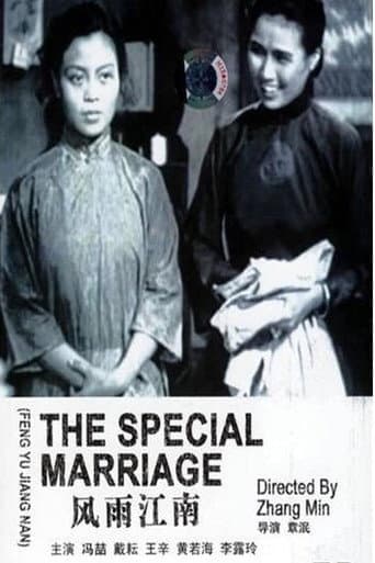 Poster for The Special Marriage