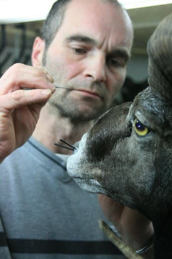 Poster for Taxidermist