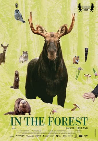 Poster for In the Forest