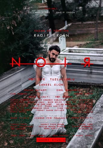 Poster for Noir