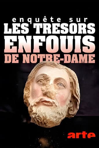 Poster for Enquête sur les trésors enfouis de Notre-Dame de Paris