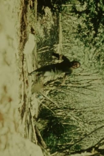 Poster for Fall Creek
