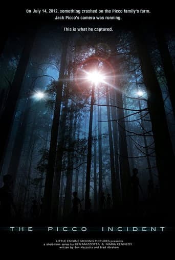 Poster for The Picco Incident