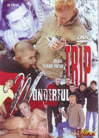 Poster for Wonderful Trip