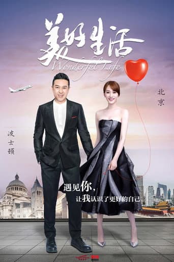 Poster for Wonderful Life