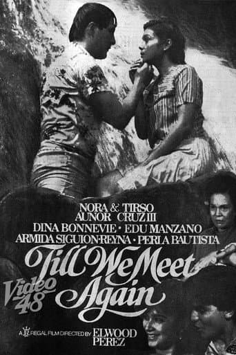 Poster for Till We Meet Again