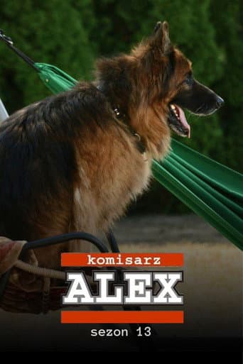 Poster for Season 13