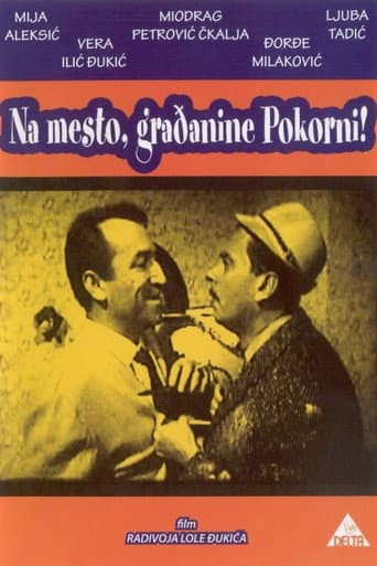 Poster for Citizen Pokorni
