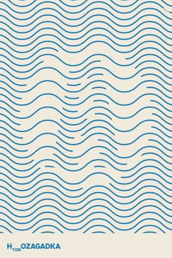Poster for Hydro-Puzzle