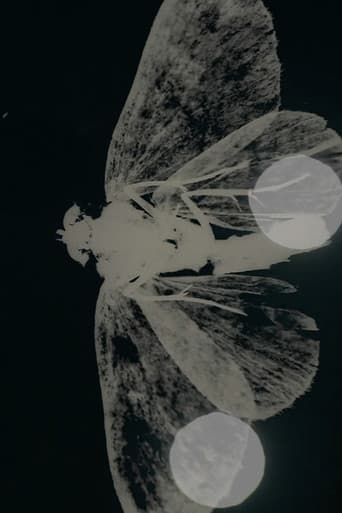 Poster for SECRET MESSAGE - Other Wise