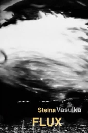 Poster for Flux