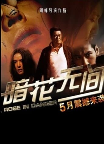 Poster for 暗花无间