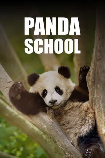 Poster for Panda School