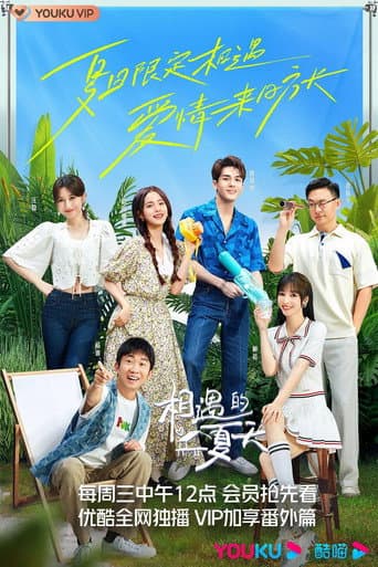 Poster for 相遇的夏天