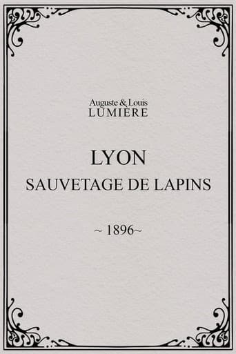 Poster for Lyon : sauvetage de lapins