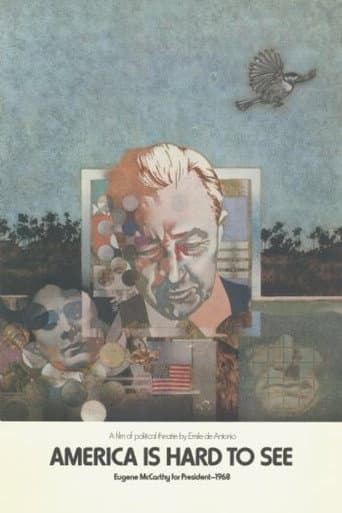 Poster for America Is Hard to See