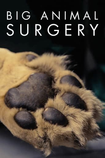 Poster for Big Animal Surgery