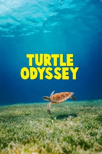 Poster for Turtle Odyssey