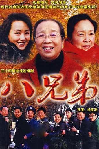 Poster for 八兄弟