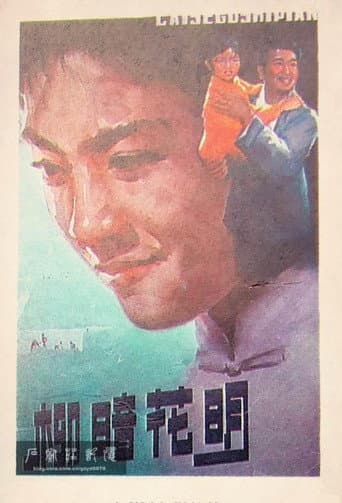 Poster for 柳暗花明