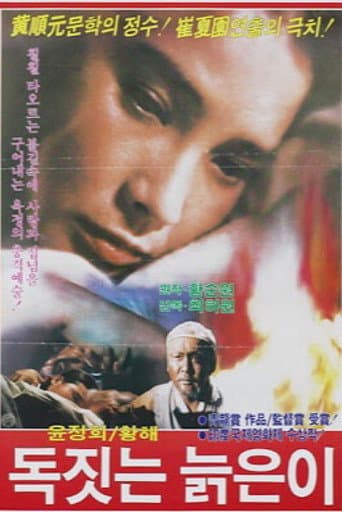 Poster for An Old Potter