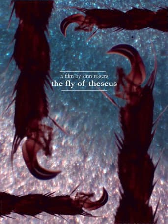 Poster for The Fly of Theseus