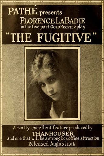 Poster for The Fugitive