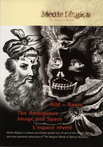 Poster for The Ambiguous Image and Space