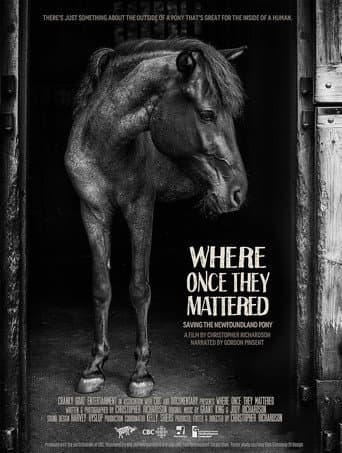 Poster for Where Once They Mattered