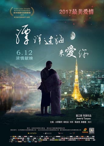 Poster for 漂洋过海来爱你