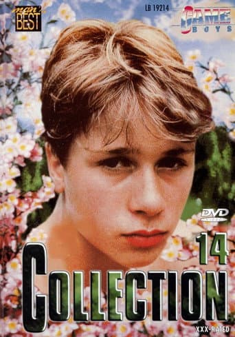 Poster for Game Boys Collection 14