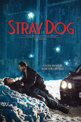 Poster for Stray Dog