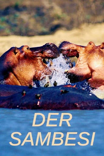 Poster for Der Sambesi