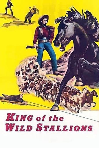 Poster for King of the Wild Stallions