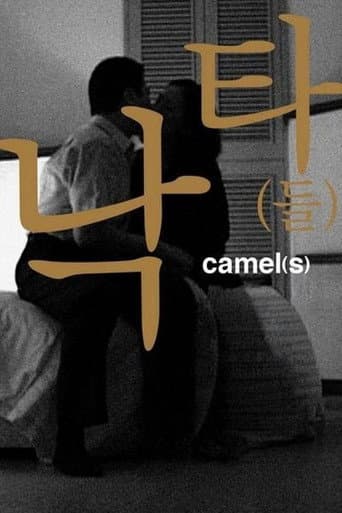 Poster for Camel(s)