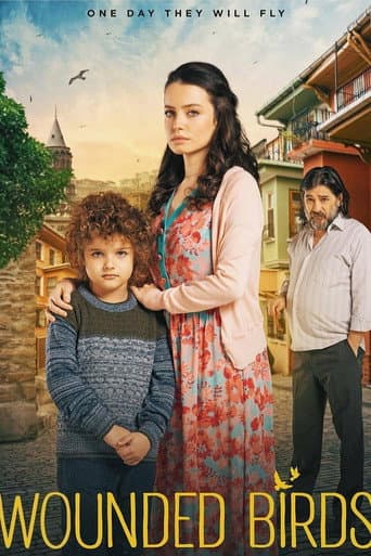 Poster for Wounded Birds