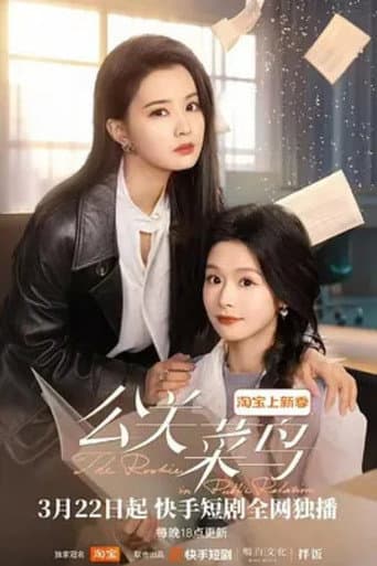 Poster for The Rookie in Public Relations