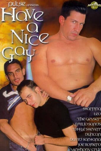 Poster for Have a Nice Gay