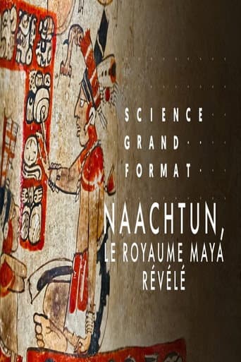 Poster for Naachtun, le royaume maya révélé