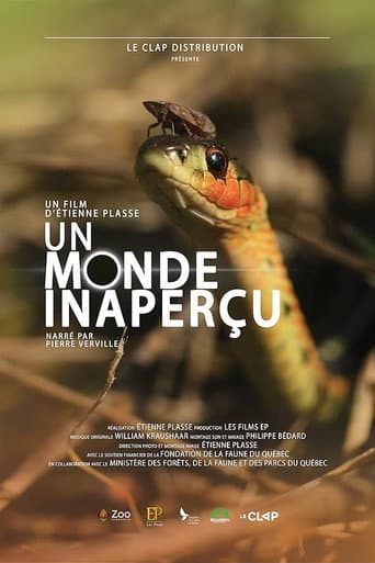 Poster for Un monde inaperçu