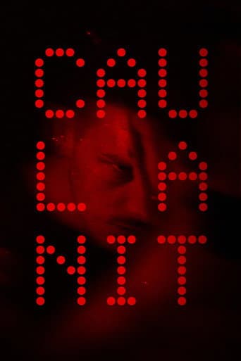 Poster for Night Falls