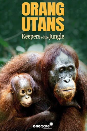 Poster for Orang Utans - Keepers of the Jungle