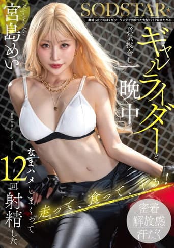 Poster for 離婚したてのぼくがツーリングで出会った大型バイクにまたがるギャルライダーと意気投合し一晩中なまハメしまくって12回射精した 宮島めい
