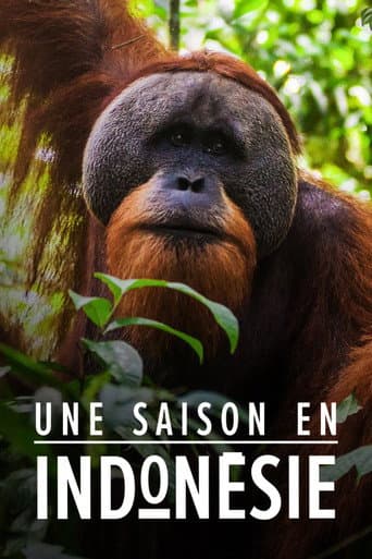 Poster for Une saison en Indonésie